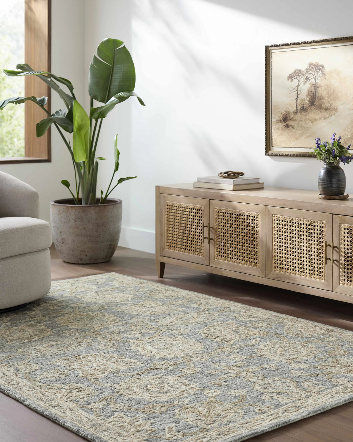Living room with a rug, plant, and wooden cabinet.