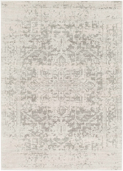 Patterned rug with a mix of gray and beige colors on a white background