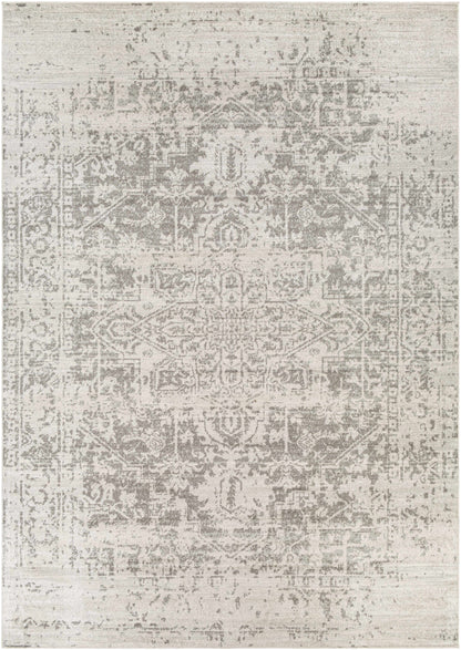 Patterned rug with a mix of gray and beige colors on a white background