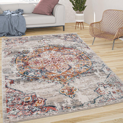 Decorative area rug with intricate patterns in a living room setting.