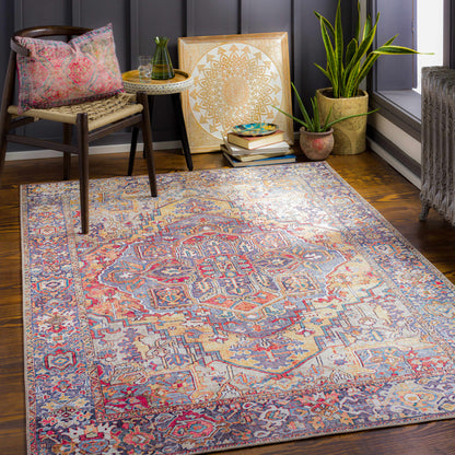 Decorative rug with intricate patterns in a room with furniture and plants.