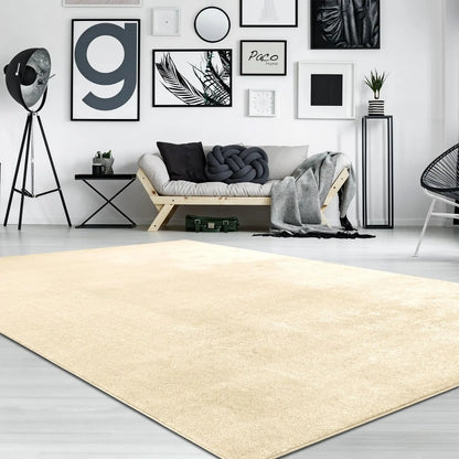 Beige rug in a modern living room with a sofa and decorative items.
