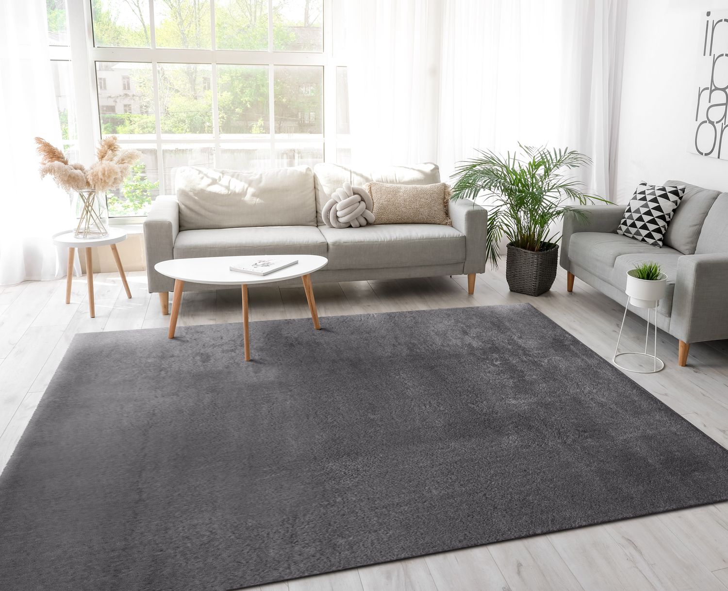 Modern living room with gray sofa, coffee table, and rug.