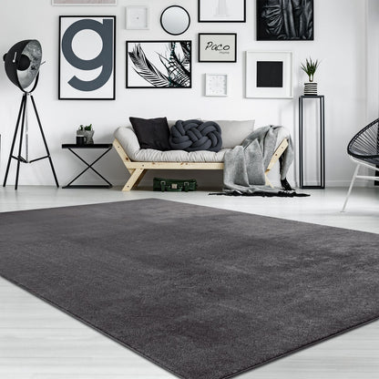 Modern living room with a gray rug, white walls, and minimal decor.