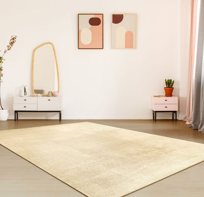 Soft Beige Area Rug 100% Polyester Washable Anti-Slip Backing