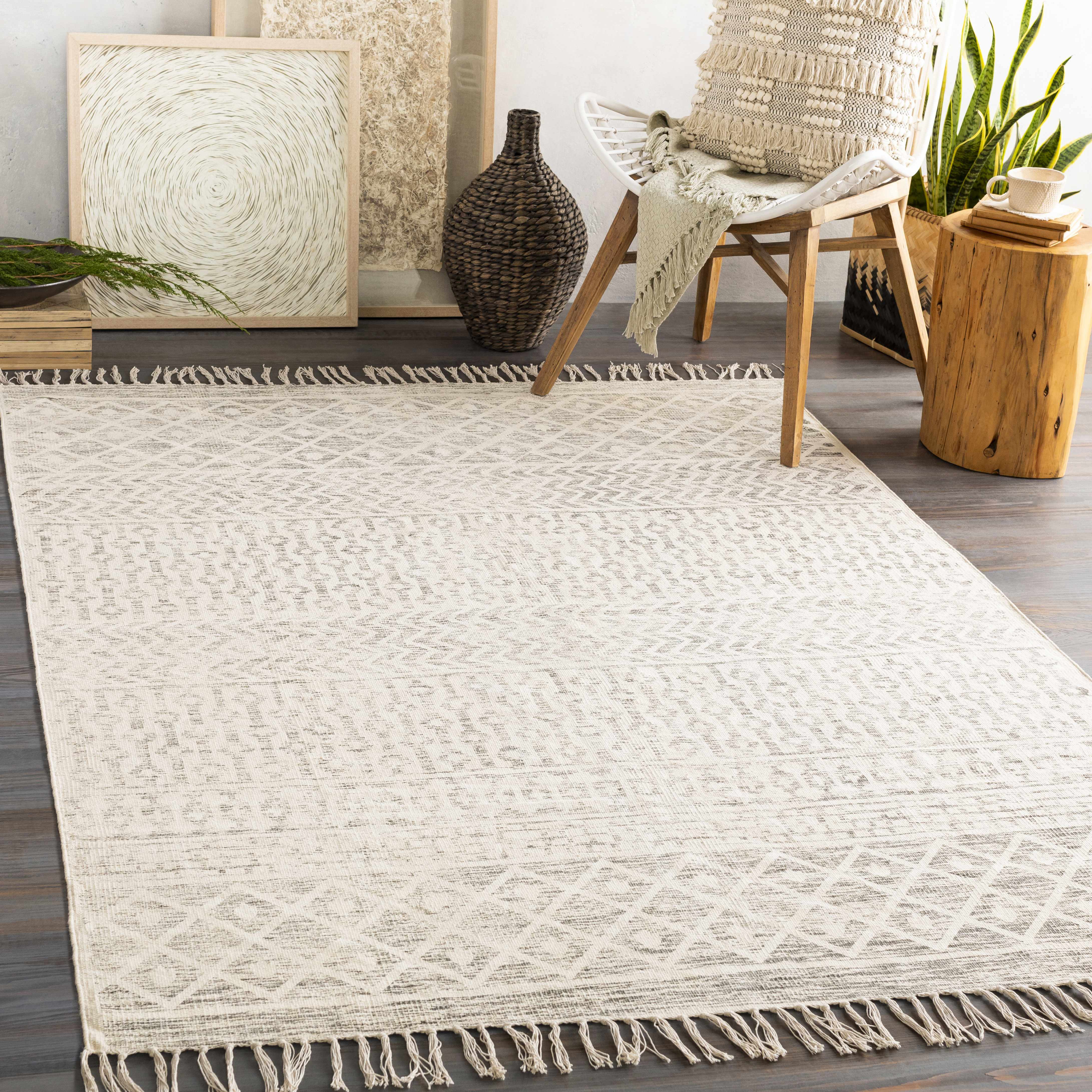 Beige area rug with tassels in a living room setting